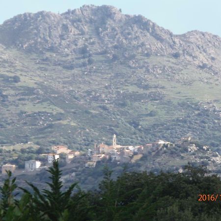 Mini Villa Marcel Classee 3 Etoiles Calenzana Dış mekan fotoğraf