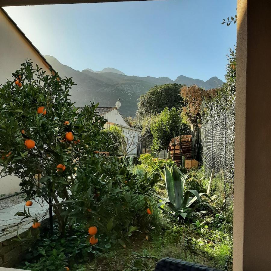 Mini Villa Marcel Classee 3 Etoiles Calenzana Dış mekan fotoğraf