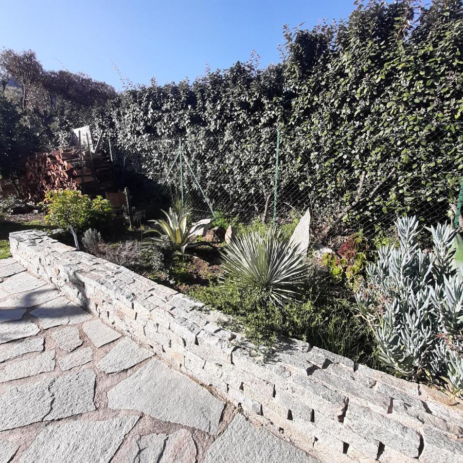 Mini Villa Marcel Classee 3 Etoiles Calenzana Dış mekan fotoğraf