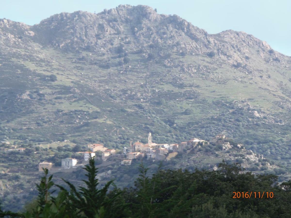 Mini Villa Marcel Classee 3 Etoiles Calenzana Dış mekan fotoğraf